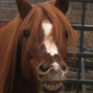 Meet your Posher, Denise